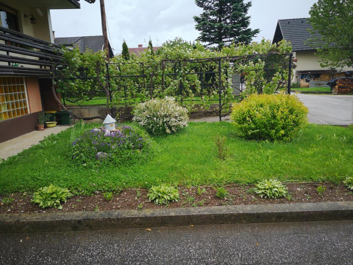 Apartma Anja *